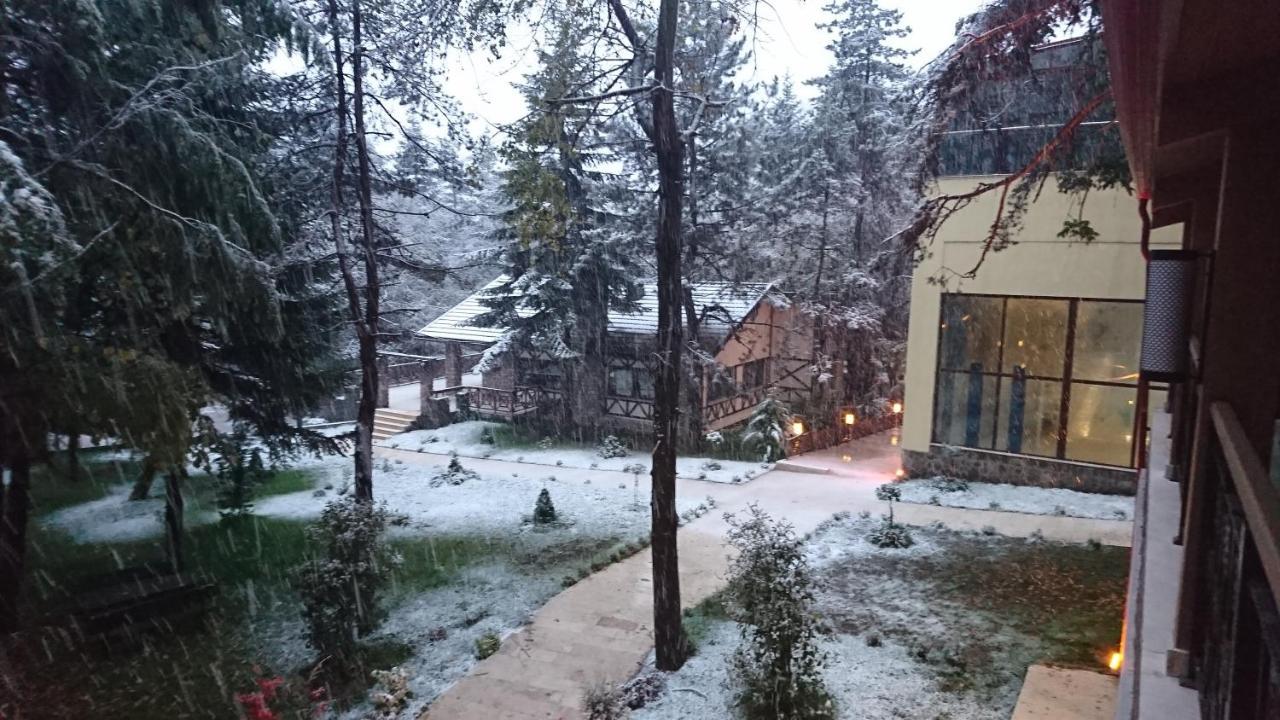 Bolu Koru Hotels Spa & Convention Yolcatı エクステリア 写真